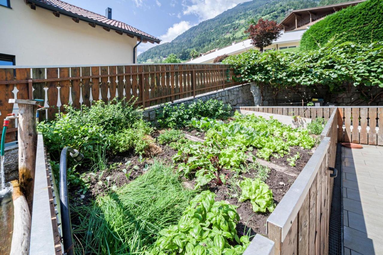 Sonnenparadies Apartement 4 Saltusio Buitenkant foto